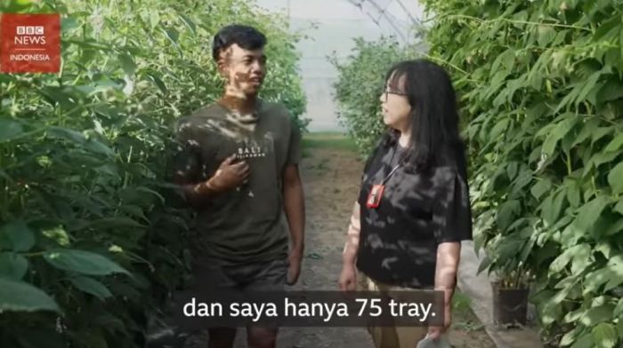 Pekerja Indonesia Terkatung-katung, Sudah Habis Habisan Tak Kunjung Berangkat ke Inggris