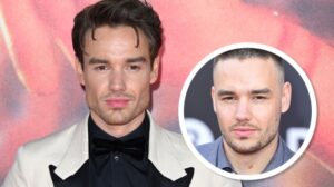 MEDIA INFORMASI INDONESIA perubahan karir Liam Payne sejak One Direction