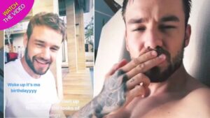 MEDIA INFORMASI INDONESIA Liam Payne dalam proyek amal